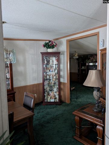 113 Hass Lucas Road, Gaston, SC 29053