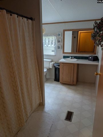 113 Hass Lucas Road, Gaston, SC 29053