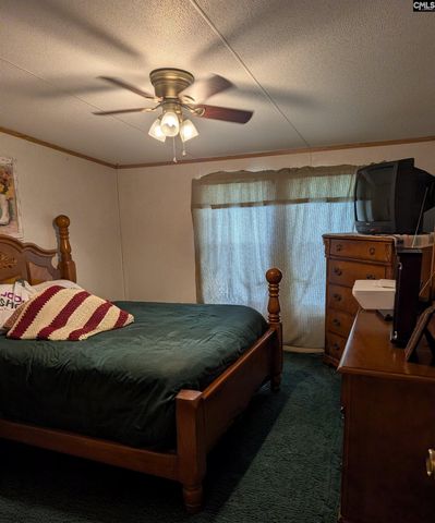 113 Hass Lucas Road, Gaston, SC 29053