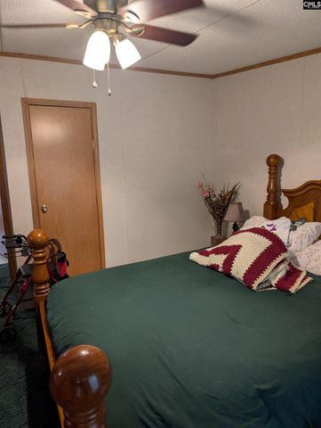 113 Hass Lucas Road, Gaston, SC 29053