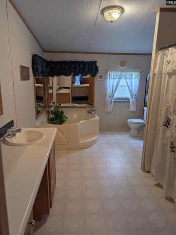 113 Hass Lucas Road, Gaston, SC 29053