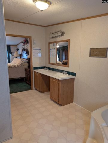 113 Hass Lucas Road, Gaston, SC 29053