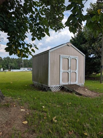 113 Hass Lucas Road, Gaston, SC 29053