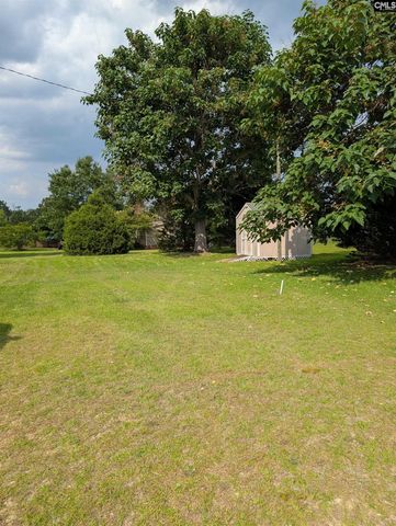 113 Hass Lucas Road, Gaston, SC 29053