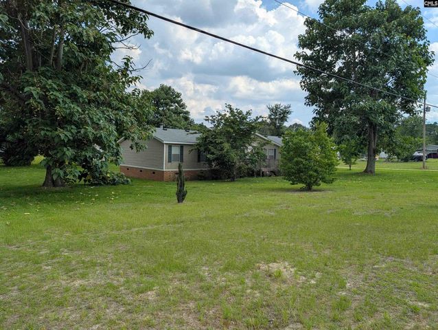 113 Hass Lucas Road, Gaston, SC 29053