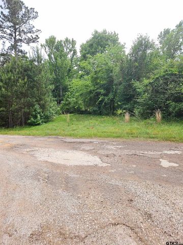18095 CR 352, Winona, TX 75792