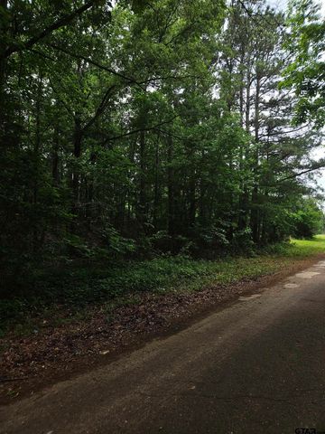 18095 CR 352, Winona, TX 75792