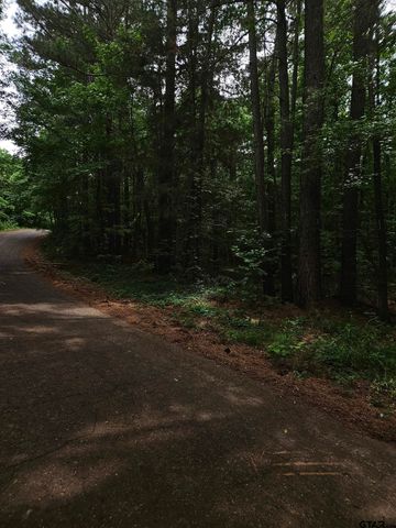 18095 CR 352, Winona, TX 75792