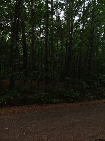 18095 CR 352, Winona, TX 75792