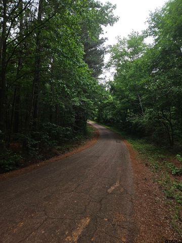 18095 CR 352, Winona, TX 75792