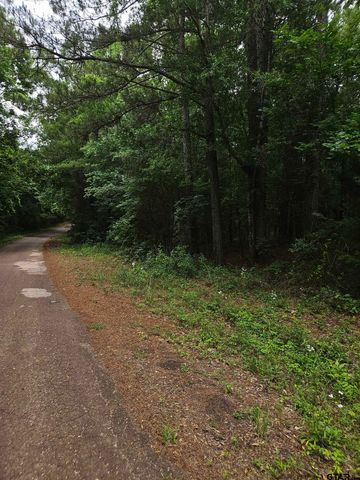 18095 CR 352, Winona, TX 75792
