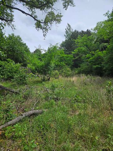 18095 CR 352, Winona, TX 75792