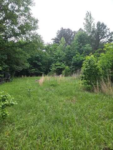 18095 CR 352, Winona, TX 75792