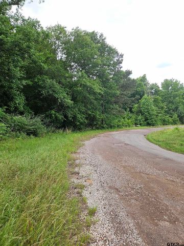 18095 CR 352, Winona, TX 75792