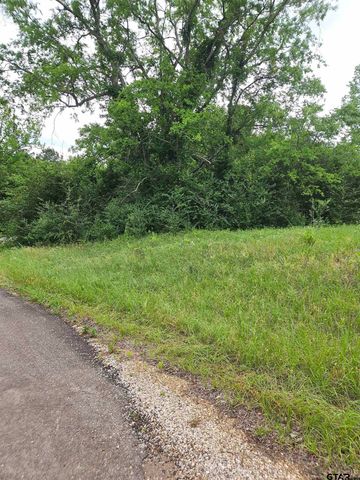 18095 CR 352, Winona, TX 75792