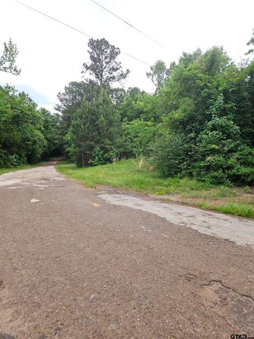 18095 CR 352, Winona, TX 75792