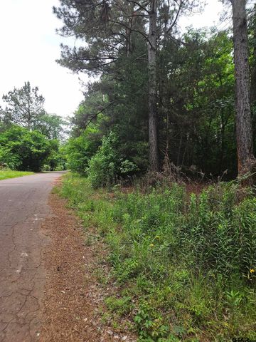 18095 CR 352, Winona, TX 75792