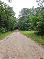 18095 CR 352, Winona, TX 75792