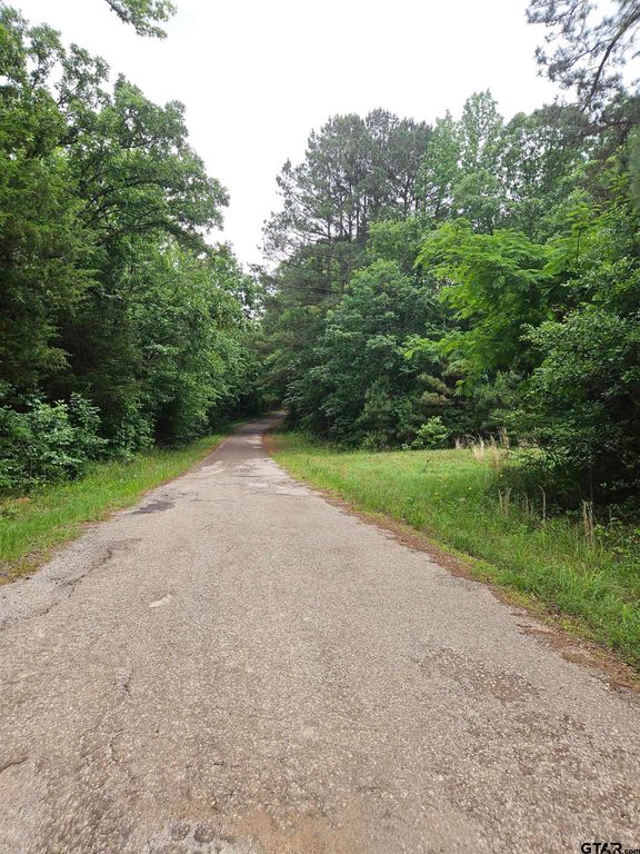 18095 CR 352, Winona, TX 75792