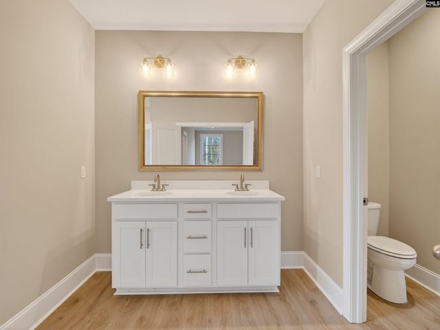 328 Murray Falls Lane, Chapin, SC 29036