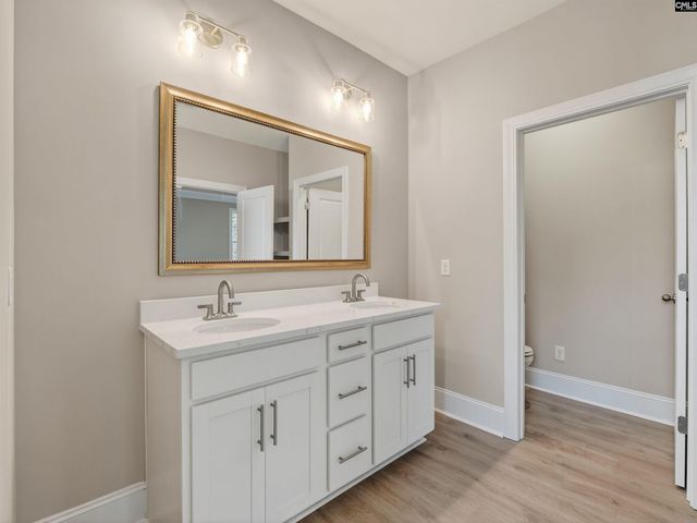 328 Murray Falls Lane, Chapin, SC 29036