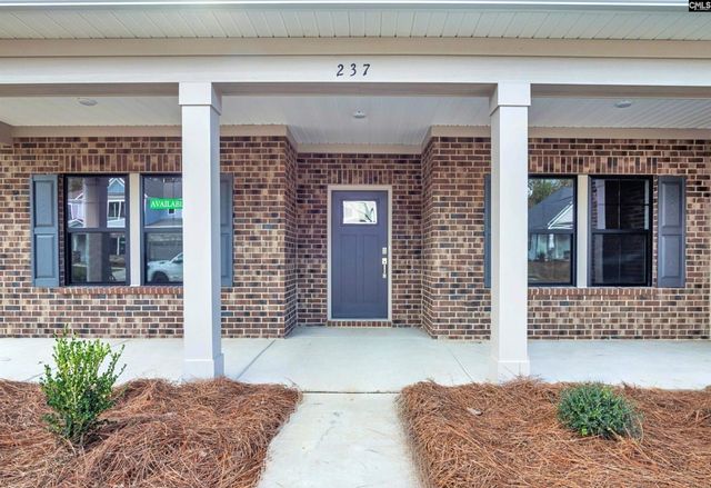 328 Murray Falls Lane, Chapin, SC 29036