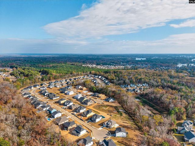 328 Murray Falls Lane, Chapin, SC 29036