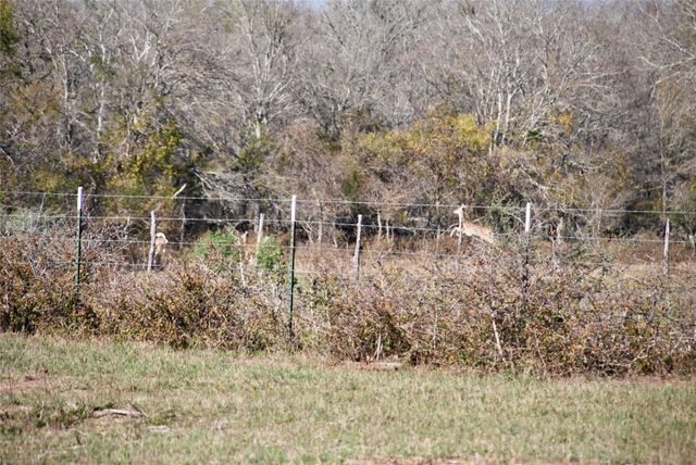 TBD Cr 405, Flatonia, TX 78941