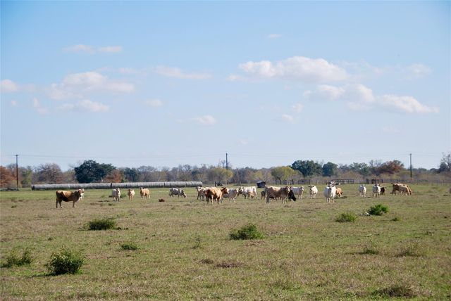 TBD Cr 405, Flatonia, TX 78941