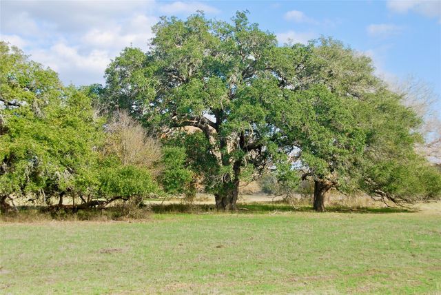 TBD Cr 405, Flatonia, TX 78941