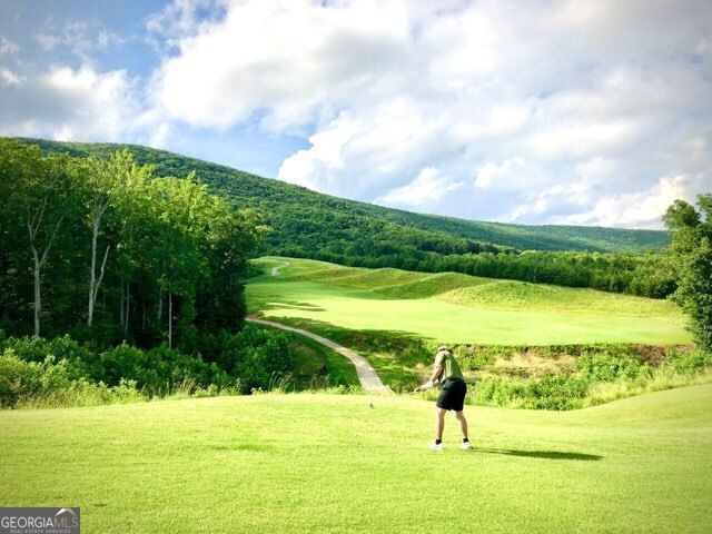 126 Elder Court, Waleska, GA 30183