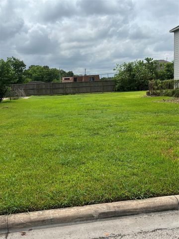 4810 Lingonberry Street, Houston, TX 77033