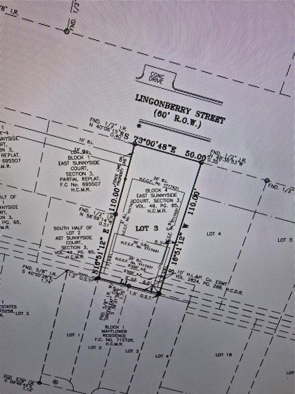 4810 Lingonberry Street, Houston, TX 77033