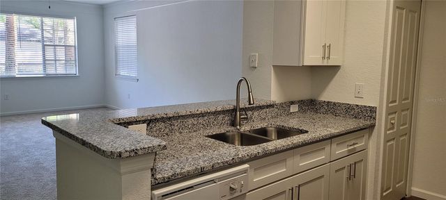 17104 CARRINGTON PARK DRIVE 513, Tampa, FL 33647