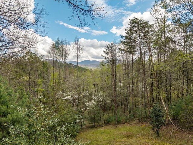 238 Cedar Ridge Rd, Cherry Log, GA 30522