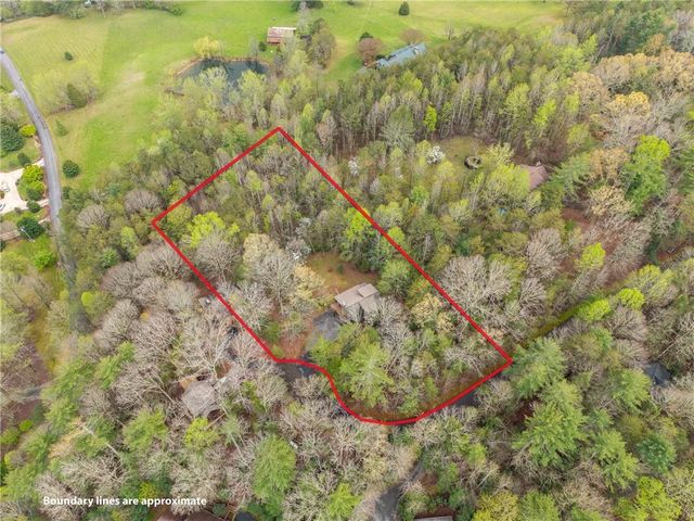 238 Cedar Ridge Rd, Cherry Log, GA 30522