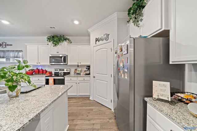 205 Antler Ridge Drive, Huntsville, AL 35811