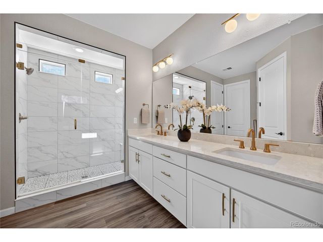 5866 Hay Market Trl, Parker, CO 80134