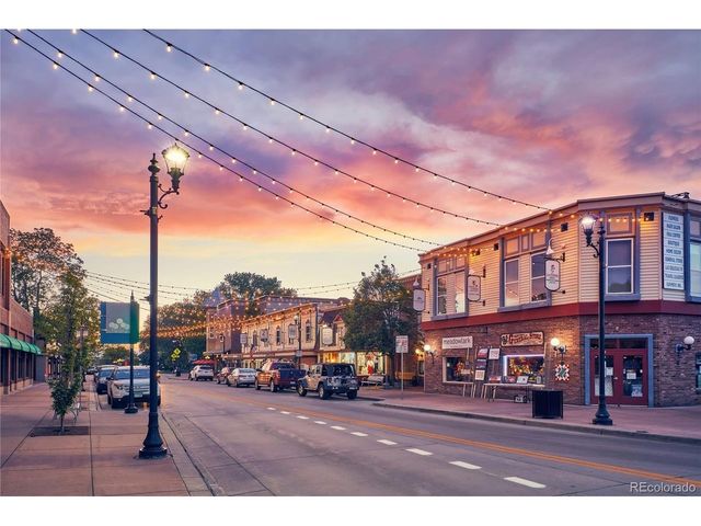 5866 Hay Market Trl, Parker, CO 80134