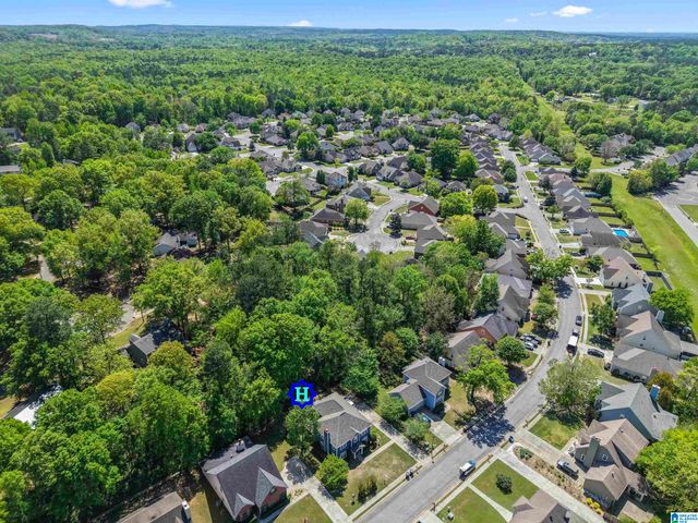 1117 AMBERLEY WOODS DRIVE, Helena, AL 35080