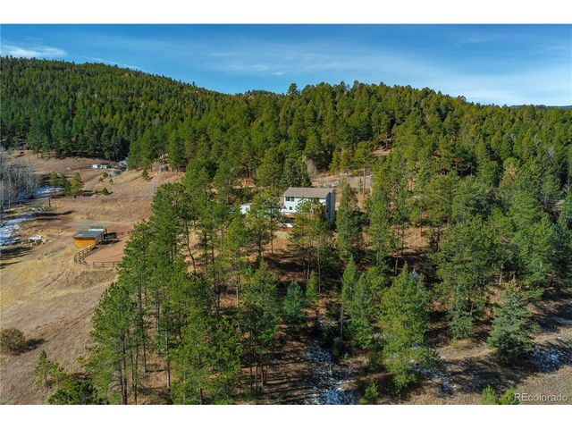 11842 GERONIMO Trl, Conifer, CO 80433
