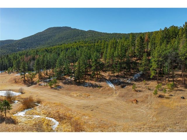 11842 GERONIMO Trl, Conifer, CO 80433