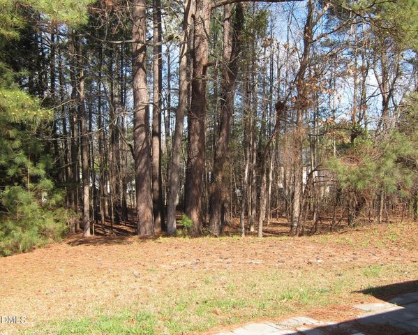 102 Checker Court, Apex, NC 27502