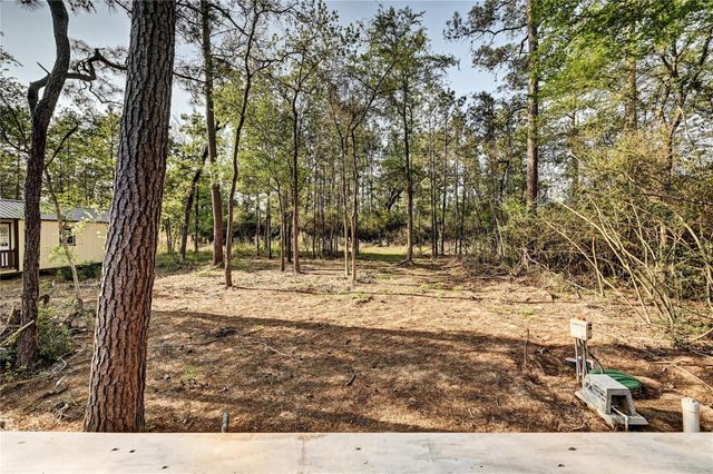 7996 Tawnyberry Lane, Plantersville, TX 77363