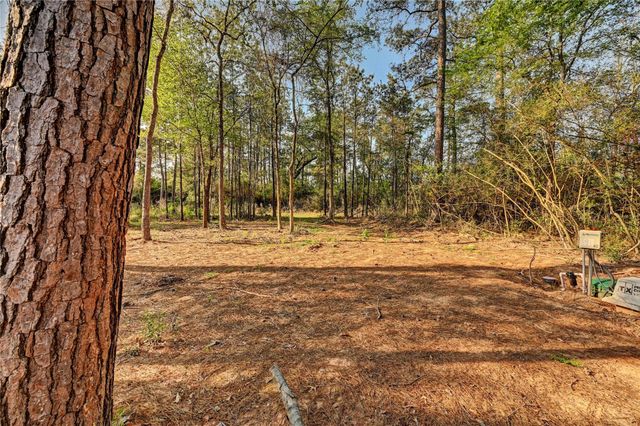 7996 Tawnyberry Lane, Plantersville, TX 77363