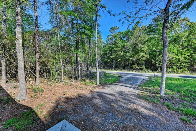 7996 Tawnyberry Lane, Plantersville, TX 77363