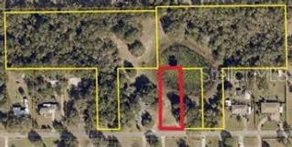 195 LAKE MOLLY AVENUE, Deland, FL 32724