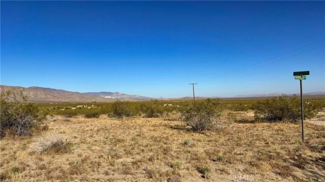 702 Bell, Johnson Valley, CA 92285