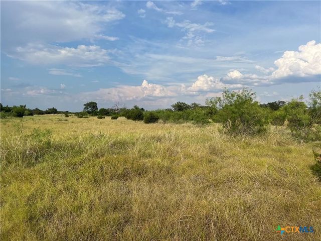 TBD County Road 421, Evant, TX 76525