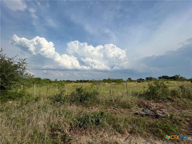 TBD County Road 421, Evant, TX 76525